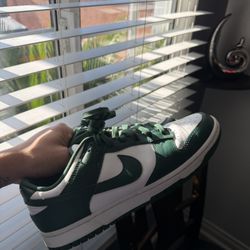 Spartan Dunk Size 10