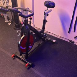 Sunny Health & Fitness SF-B1002 Belt Drive Indoor Bike