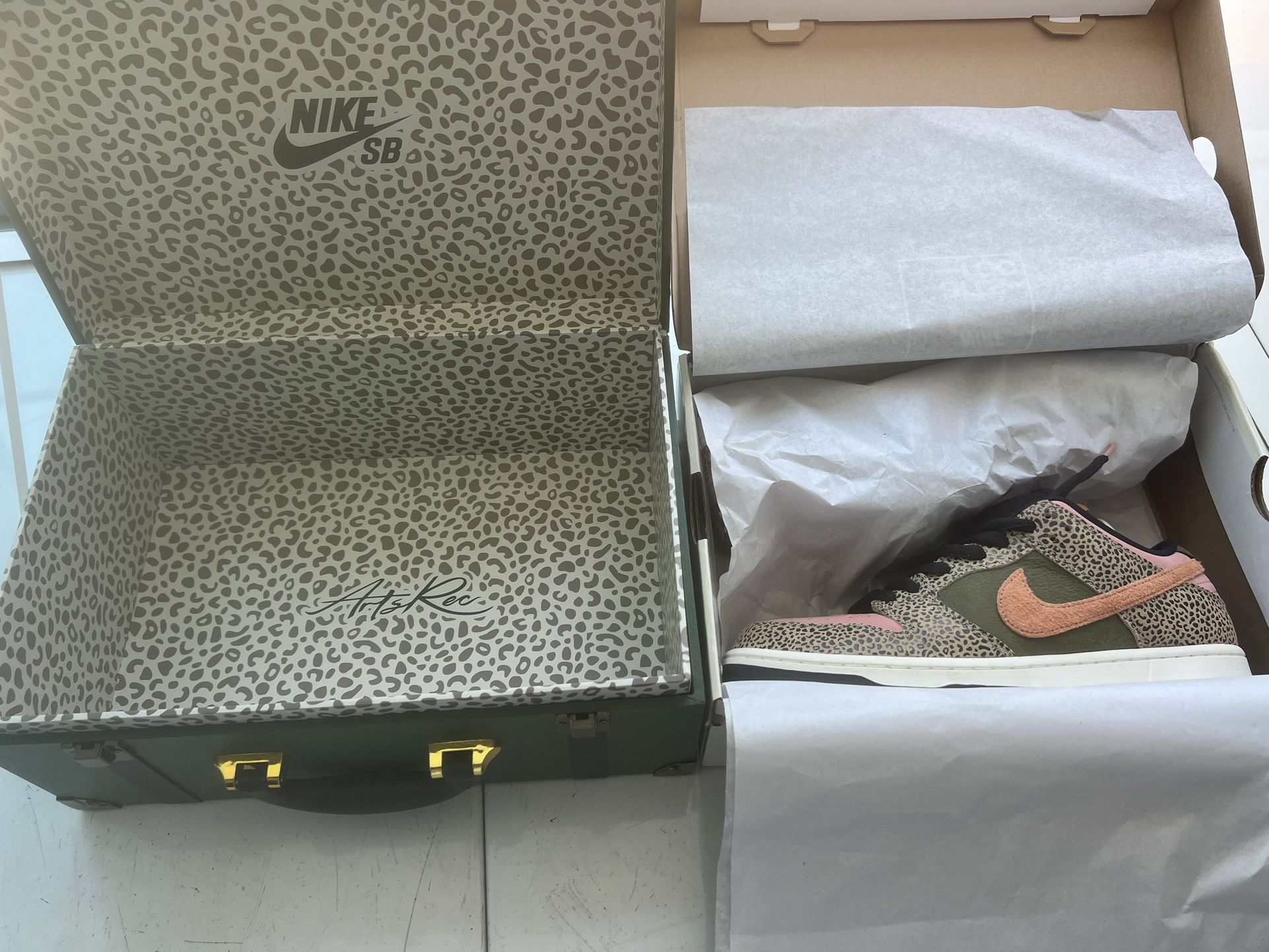 Nike SB Dunk Arts And Rec With Special Box