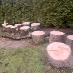 Free Firewood Rounds Available For Pickup