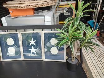 Beachy Decor Package Deal