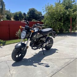 2023 Honda Grom