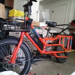 Electric Bike 