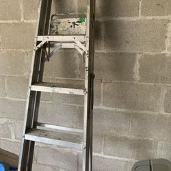 Aluminum Ladder