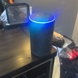 Amazon Alexia Echo