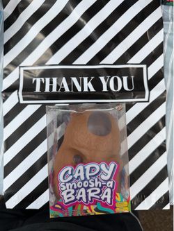 Capybara squishy
