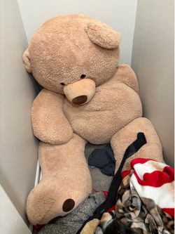 Big teddy bear!!