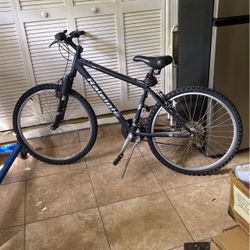 Raleigh Mountain Bike, 20” Frame
