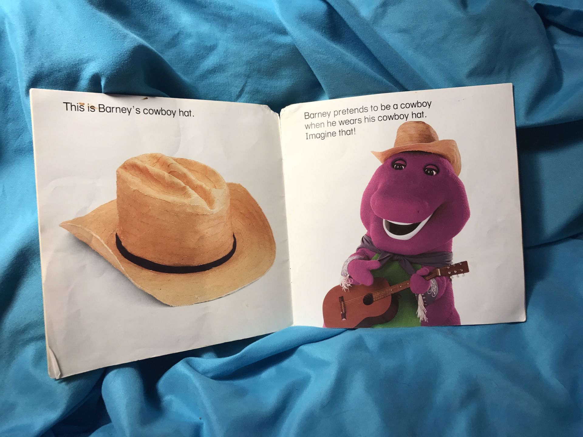 Vintage Barney the purple dinosaur children book about hats! Not sold
