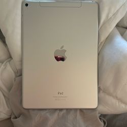 iPad Pro