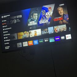 Vizio Flat Screen Tv