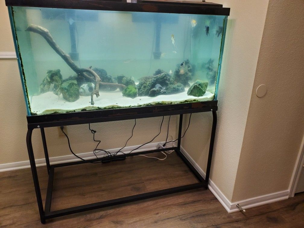 120 Gal Aquarium W/Stand And accessories