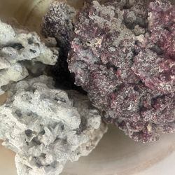 FIJI LIVE ROCK BASE ROCK 40 Pounds Aquarium Rocks