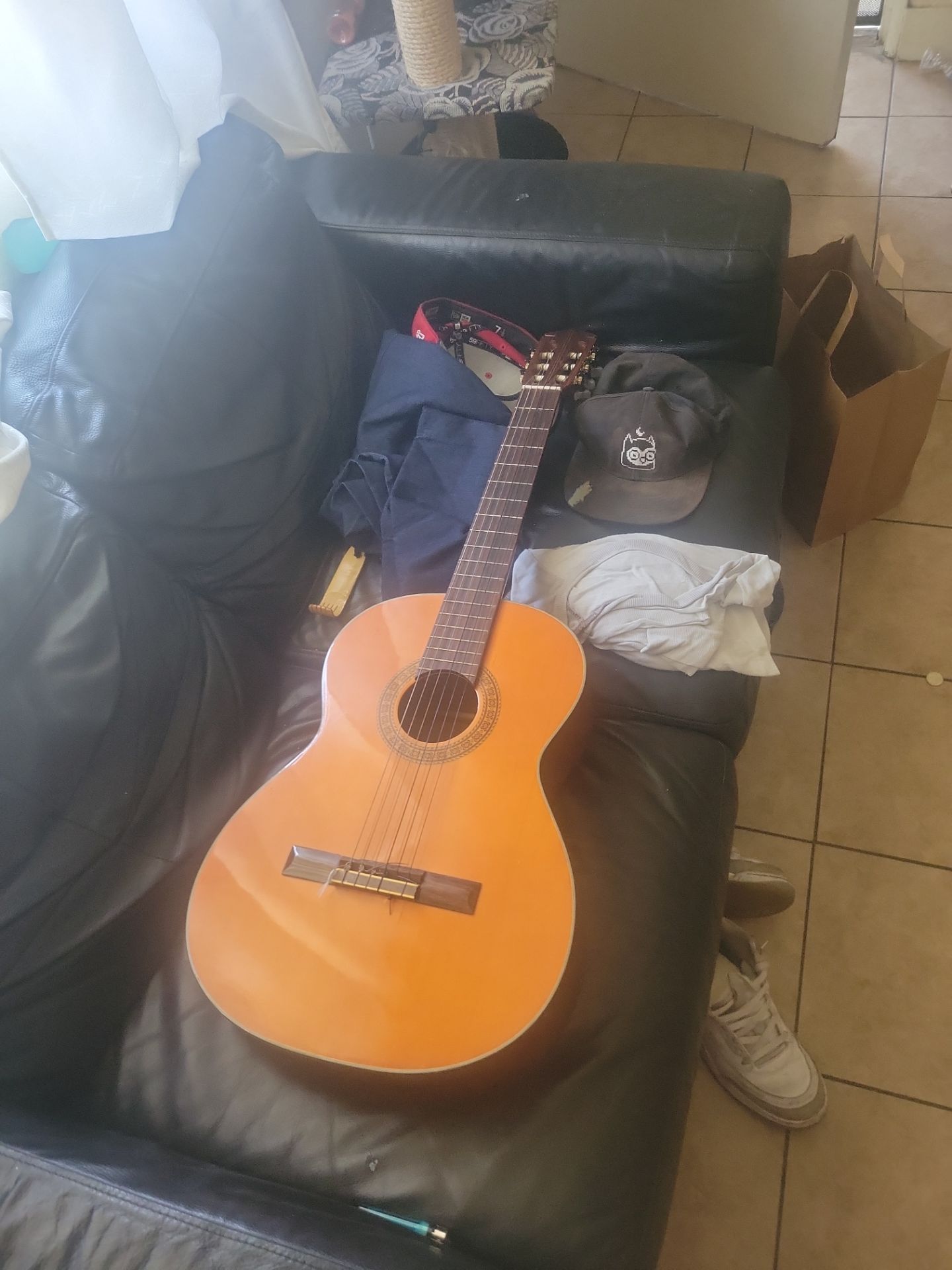 Guitar