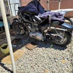 Harley Davidson Softtail