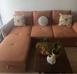 Brown Fabric Sectional Sofa with Chaise