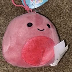 Poleena Squishmallow Clip