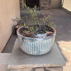 Clay Pots With Succulents x 2