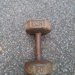YORK NATURAL NON PAINTED SINGLE 20 LB.   DUMBBELL