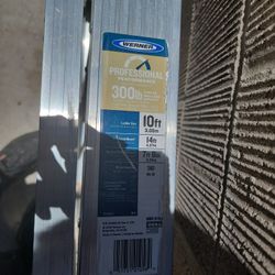 Werner Ladder 
