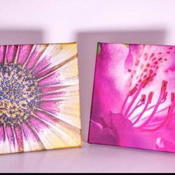 Flower Wall Art Pair