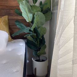 Fake Fiddle Leaf Plant With pot