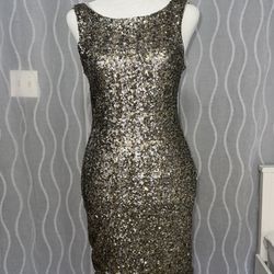 Zara Trafaluc Sequin Dress