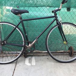 Bike 700 Fixie