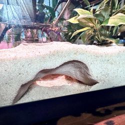 Aquarium  Terrarium Cave Hideout 
