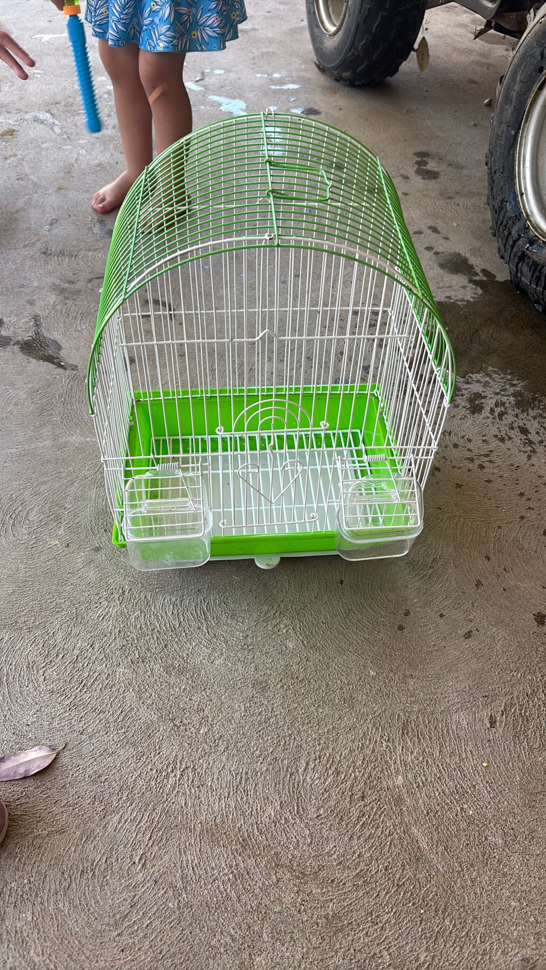 Small Bird Cage