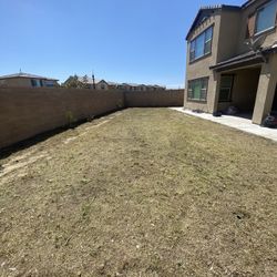 Yard Clean Up 🌳 🍃