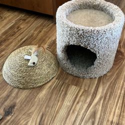 Cat House 