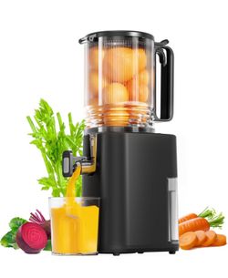 Cold Press Juicer, 5.5inch Wide Feed Chute Juicer Machine, Slow Masticating Juicer for Whole Vegetables & Fruits, Black