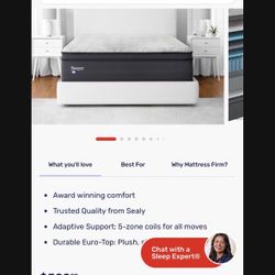 Brand New Mattress 