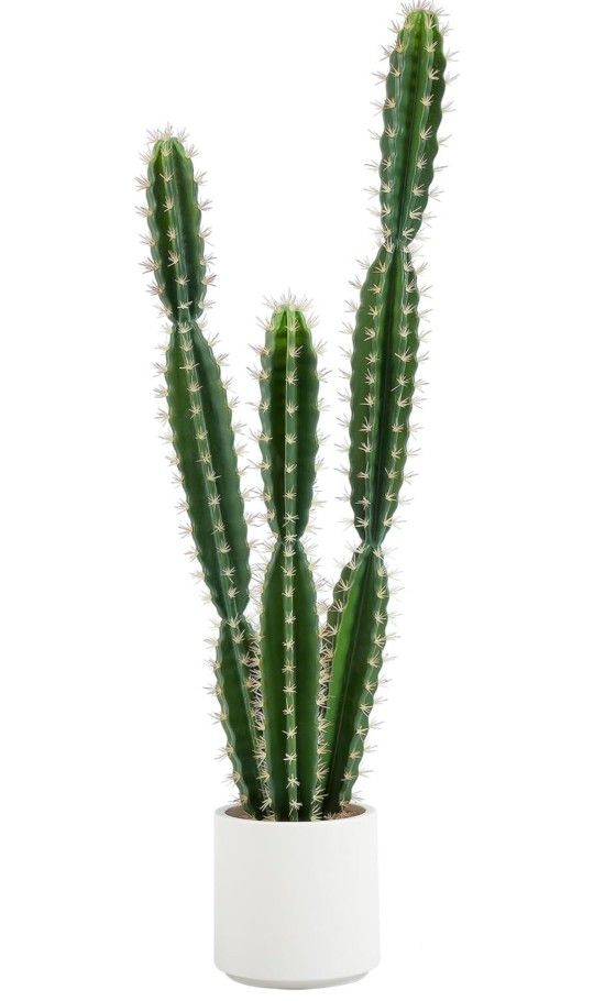 Faux Cactus Plant With Pot* Brand New In Box * Pickup In 19140