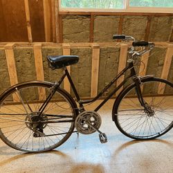 Vintage Schwinn Suburban Bike
