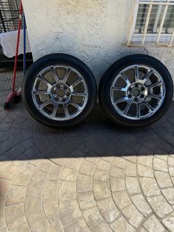 Denali stocks