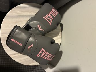 Everlast Boxing Gloves