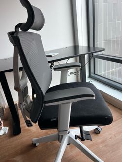 Autonomous ErgoChair Pro - Ergonomic Office Chair (black/White) - Great Condition!