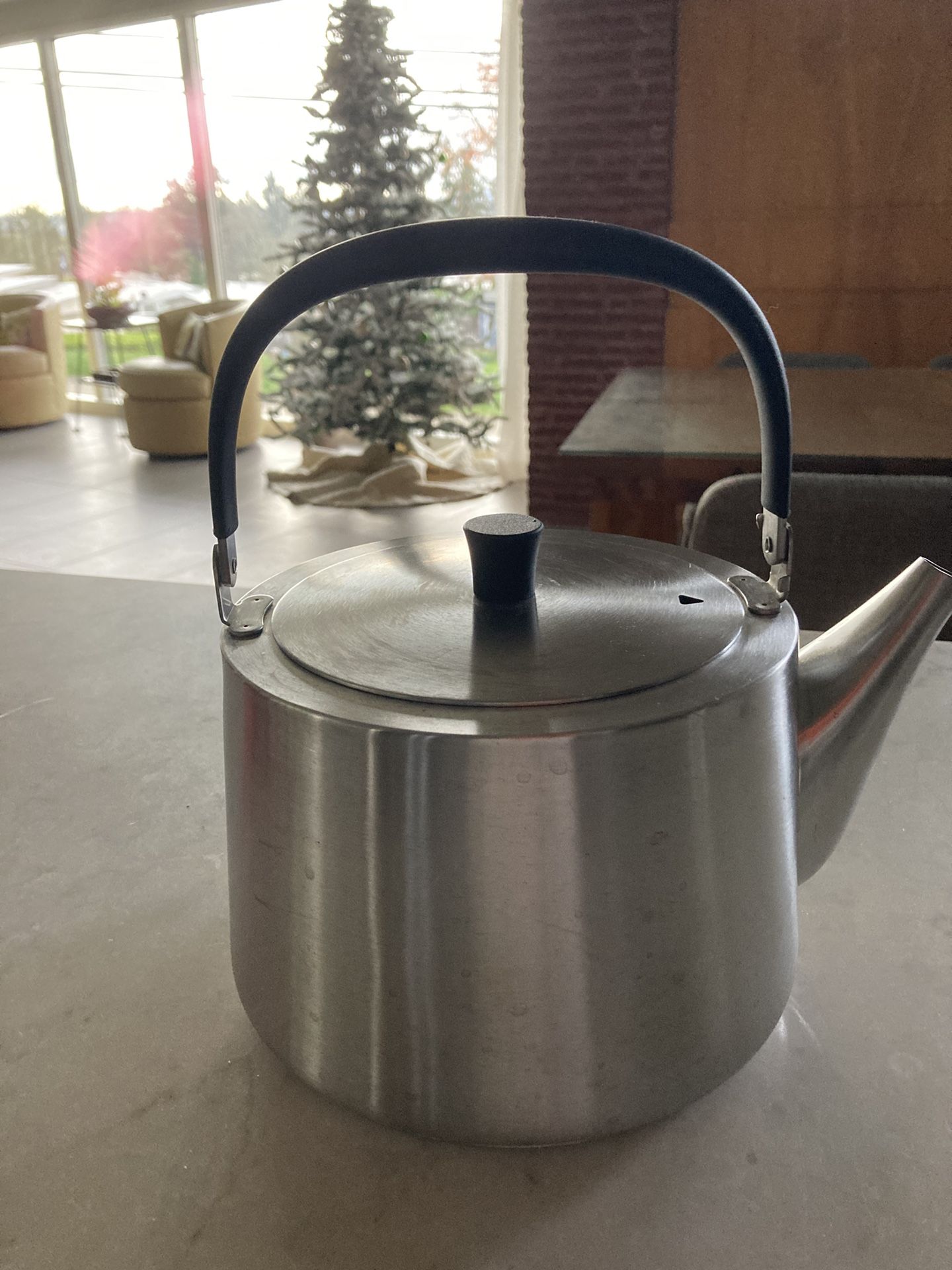 Dr. Hows Deluxe Stainless Steel Tea Kettle