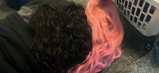 Human hair wigs