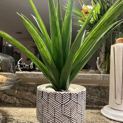 Artifical plant with ceramic pot