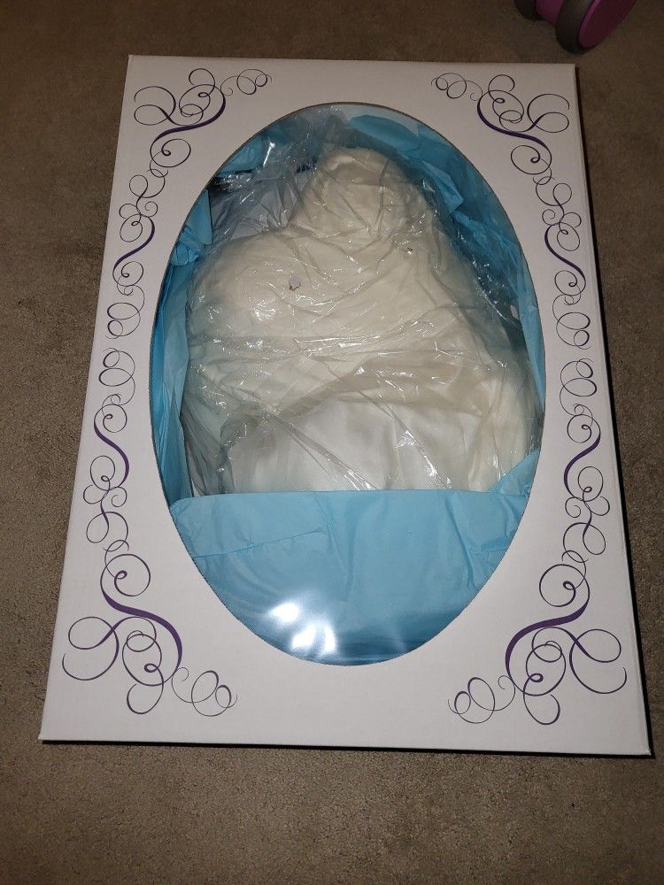 Wedding Dress Preserved 1 Use