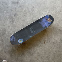 Santa Cruz Skateboard 