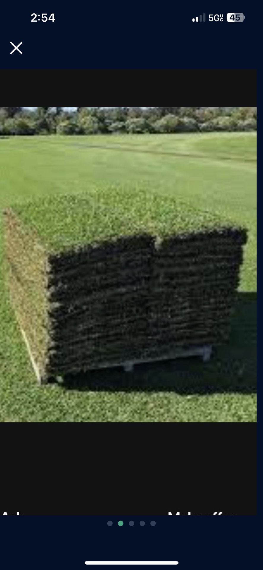 Sod/ New grass
