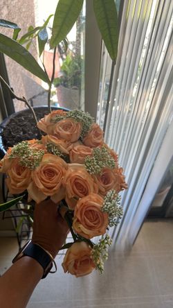 19 salmon roses-small stem