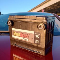 Everstart Value Car Battery