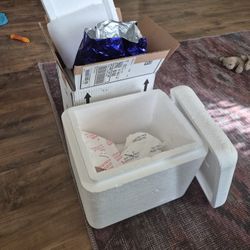 Free Styrofoam Containers