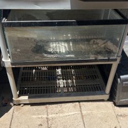 Fish Tank With Filter And Heater $20