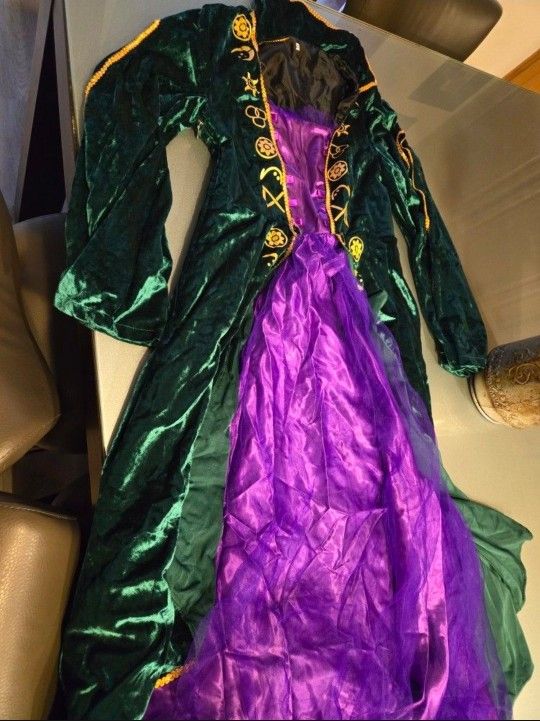 Adult Hocus Pocus Costume Sanderson Small